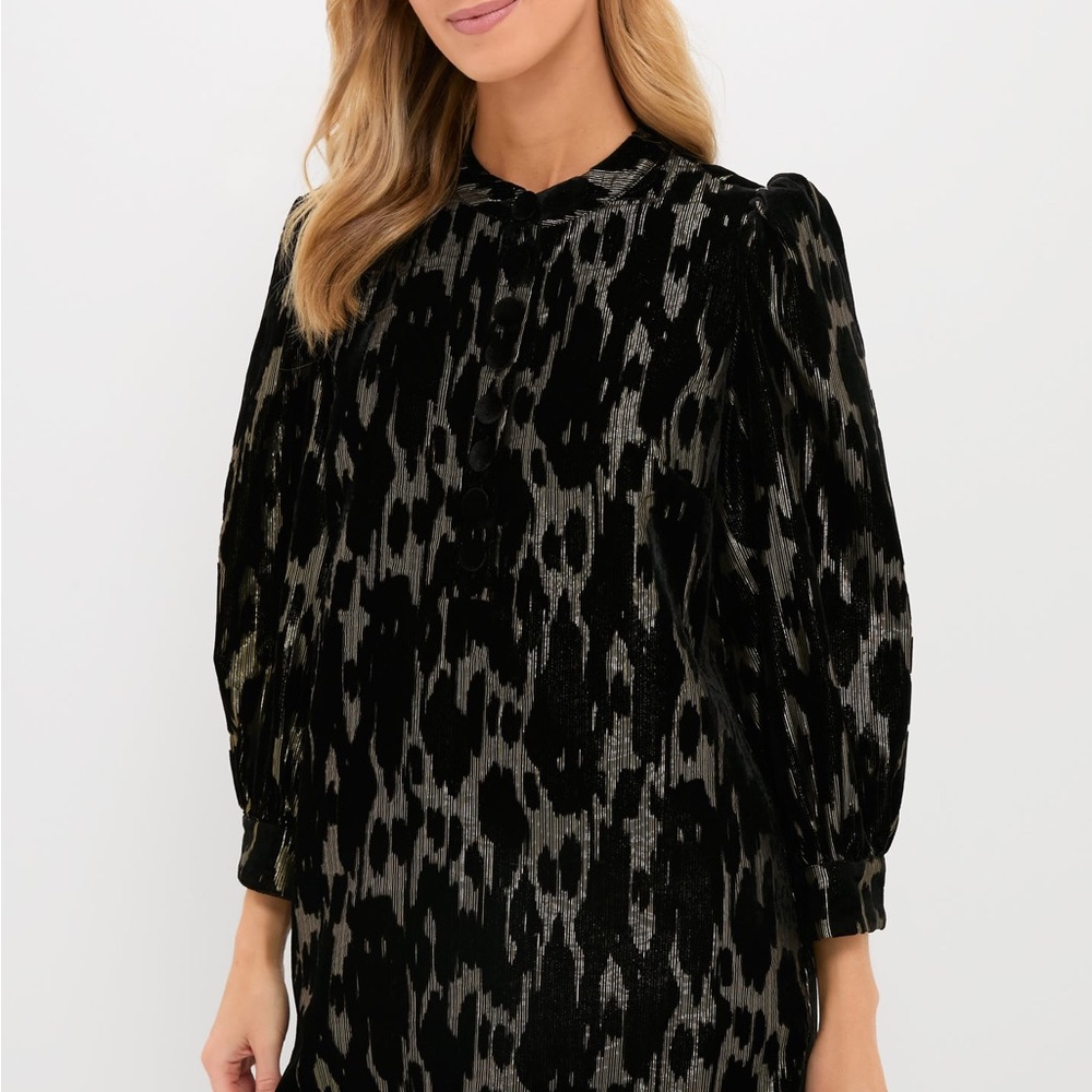 NWT Tuckernuck metallic velvet burnout Samantha dress small & Medium - Picture 10 of 10